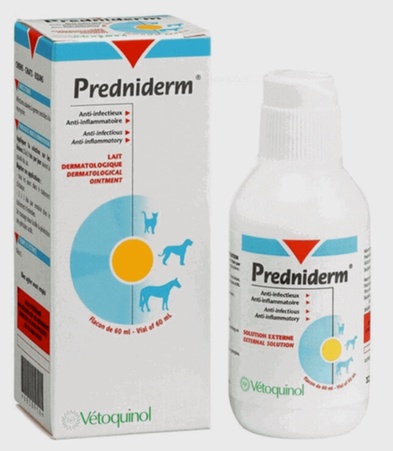 Acheter Prednisolone - Comprimés et packaging